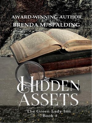 cover image of Hidden Assets